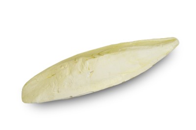 Kość mątwia, ok. 21 cm